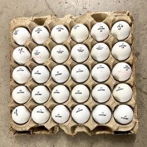 Precept Golf Balls 30 Count Flat